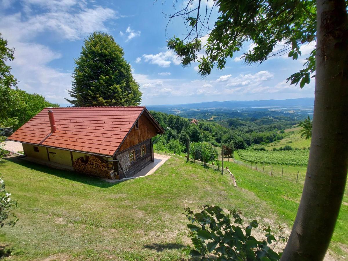 Oldhouse Knezovo Vakantiehuis *